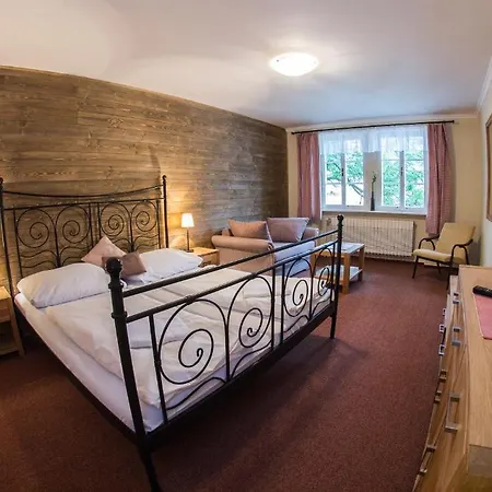 Hotel Erika Szpindlerowy Młyn