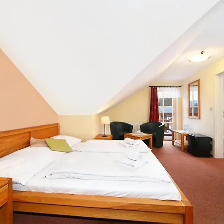 Hotel Erika Špindlerŭv Mlýn