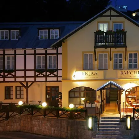 Hotel Erika 3*