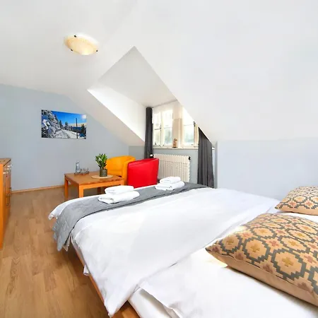 Hotell Erika Špindlerŭv Mlýn